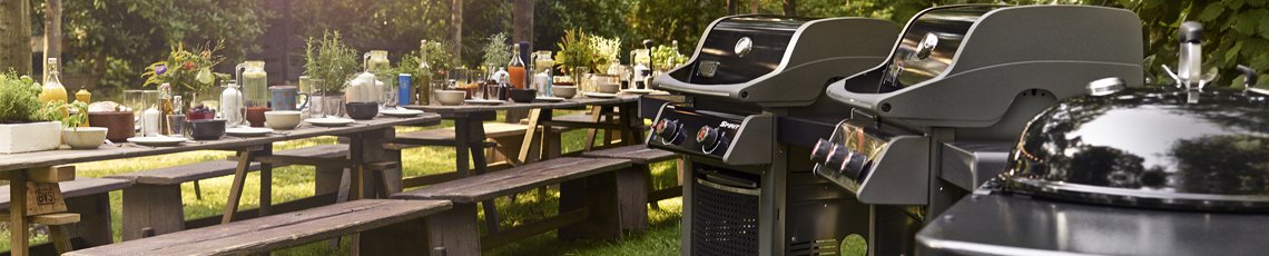 Weber BBQ